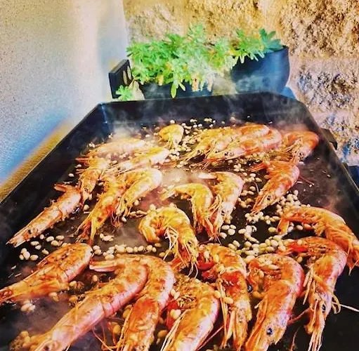Maset De Caractere A Siffret - Mas Des Chenes - *